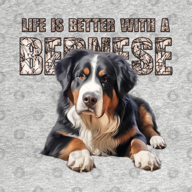 Bernese mountain dog by Bernesemountaindogstuff